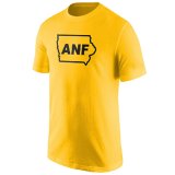 Iowa Hawkeyes ANF In State Tee