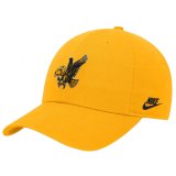 Iowa Hawkeyes Flying Hawk Hat