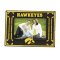 Iowa Hawkeyes Glass Art Picture Frame